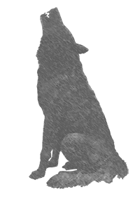 lobo outline placeholder